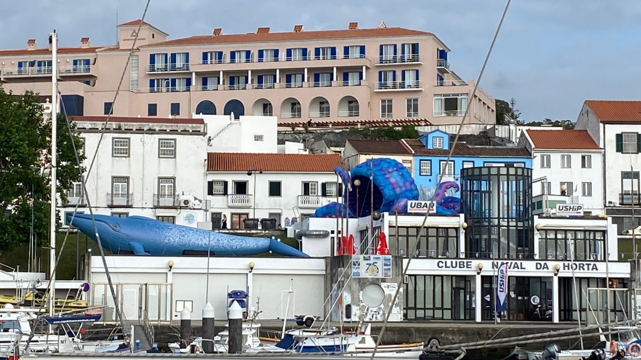 Azoren Faial Horta Portugal 20230003
