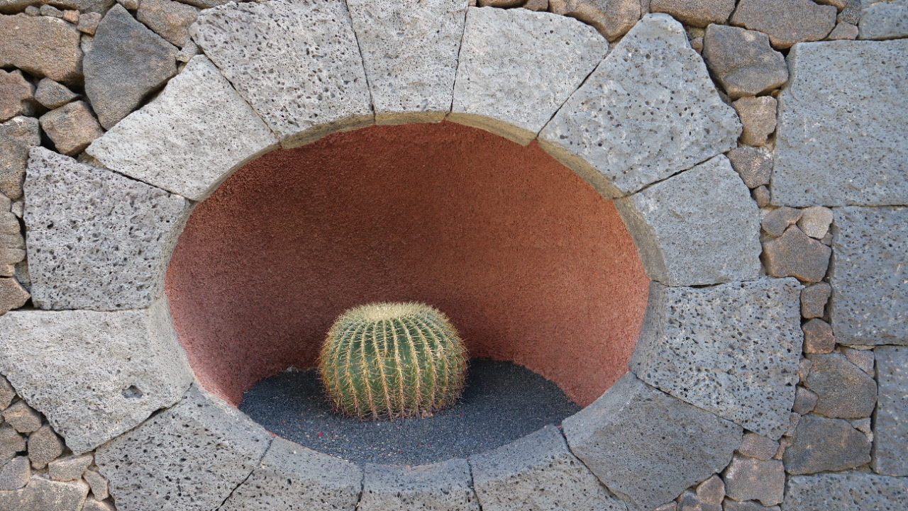 Jardin de Cactus 20220002