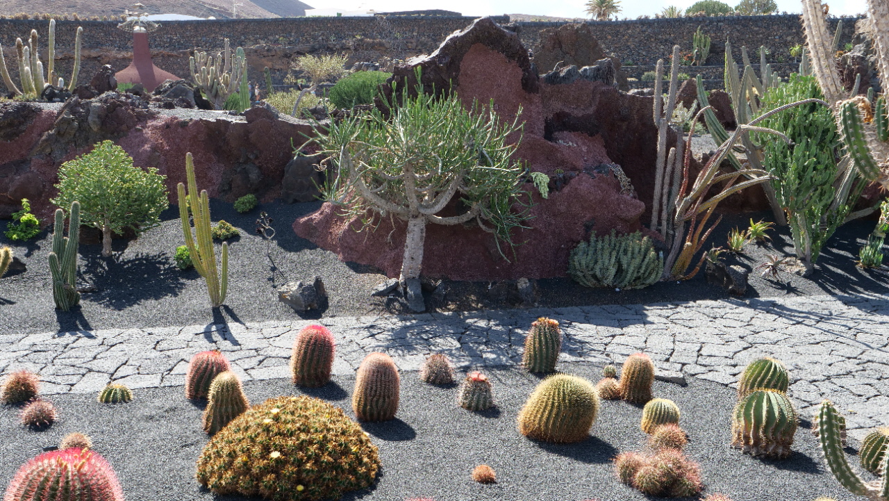 Jardin de Cactus 20220014