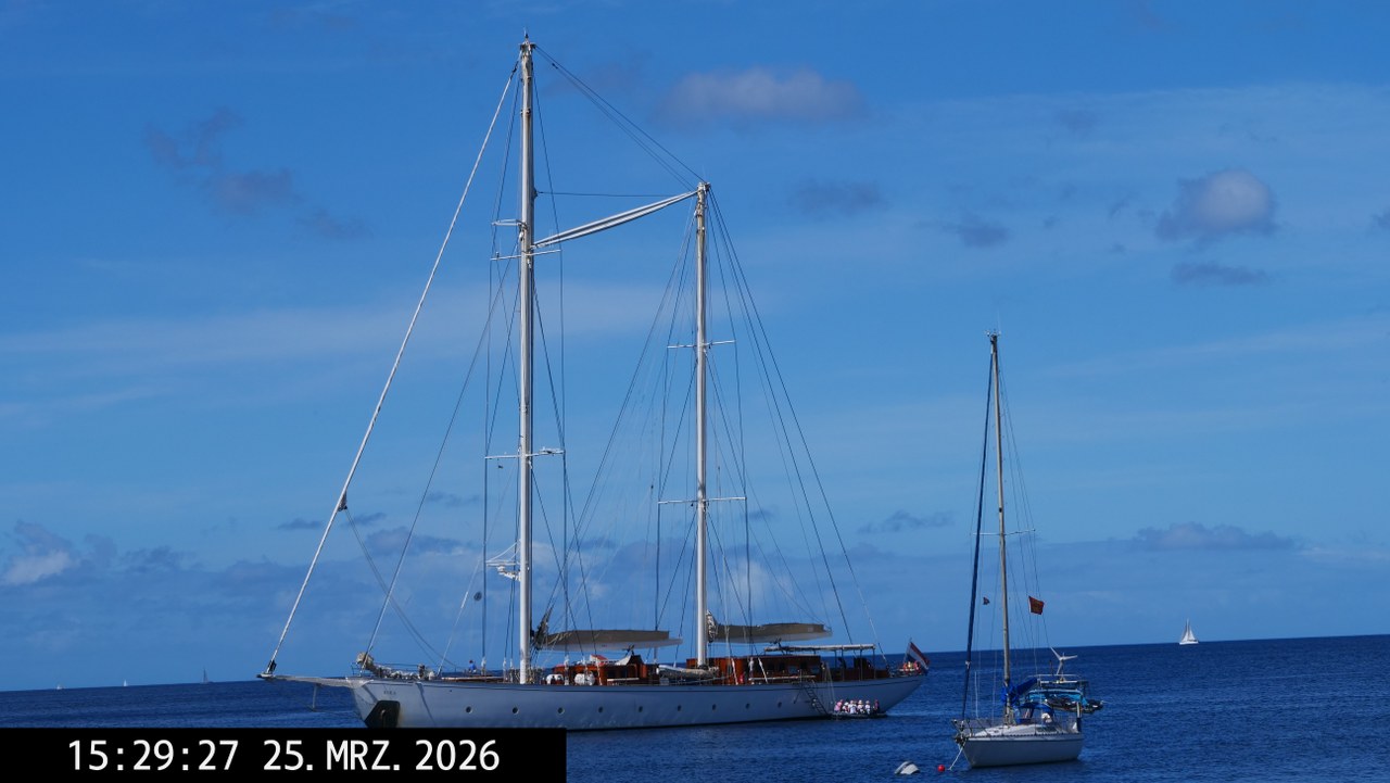 Rhea 20260146