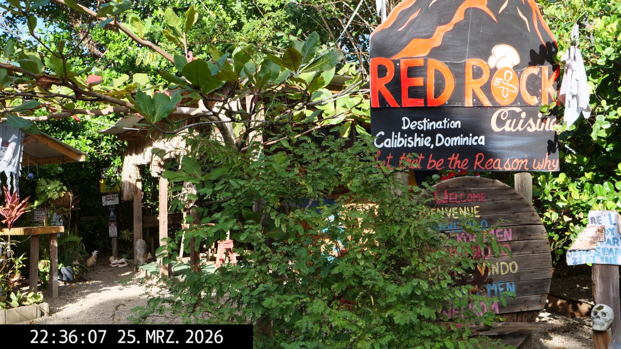Rhea 20260242