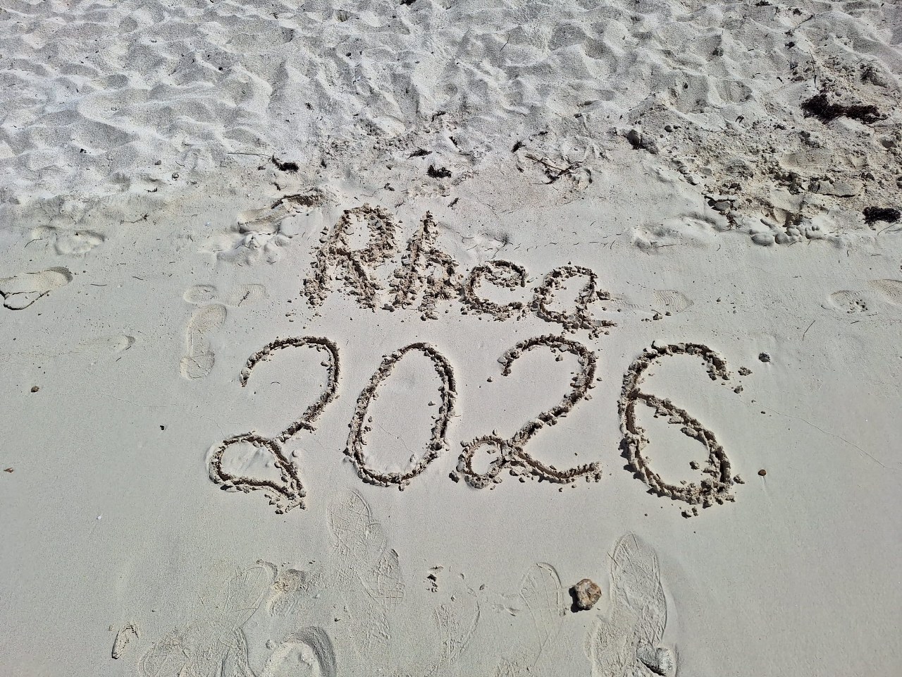 Rhea 20260380